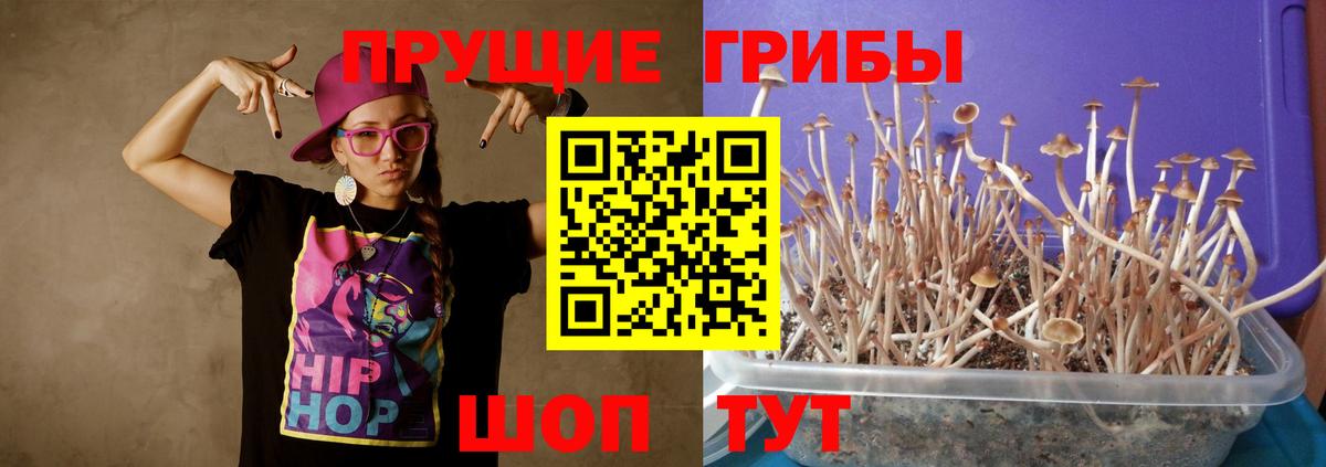Галлюциногенные грибы ЛСД  Вход с VPN  Сегежа 